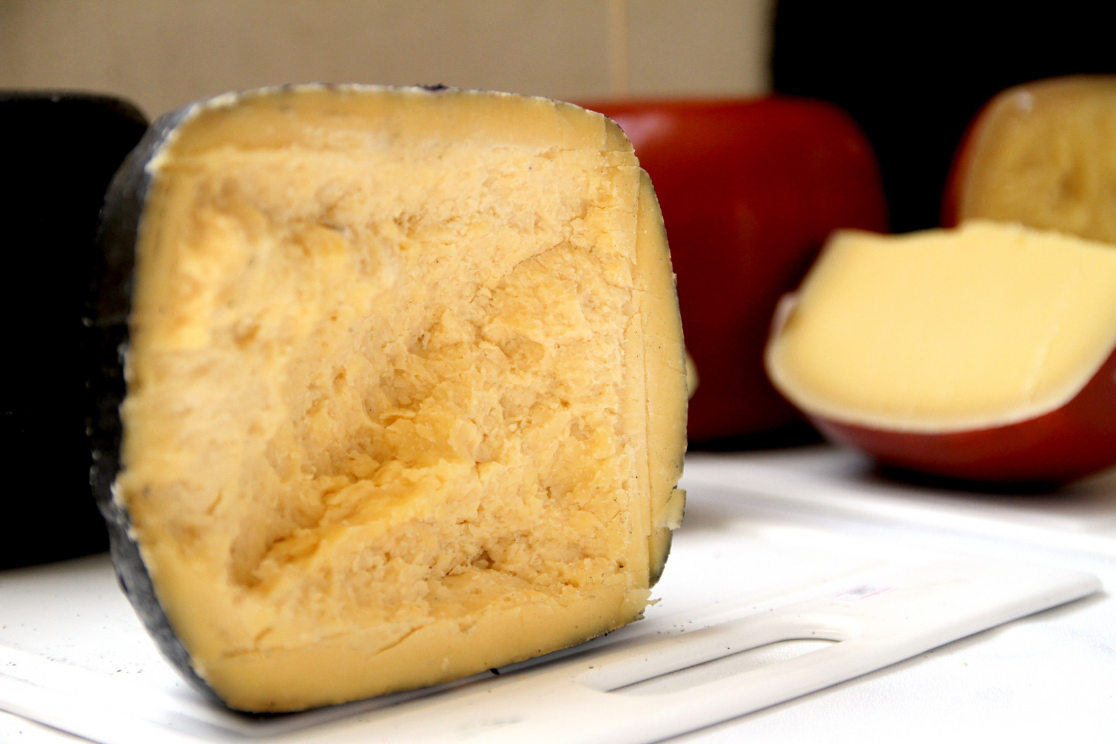 EL GOBIERNO NACIONAL PRORROGA LA QUITA DE RETENCIONES PARA LA EXPORTACIÓN DE PRODUCTOS LÁCTEOS