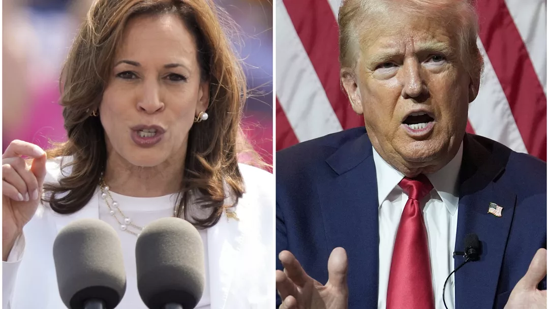 TRUMP VS HARRIS: ¿QUIÉN LIDERA LAS ENCUESTAS DE LAS ELECCIONES PRESIDENCIALES DE EE.UU.?