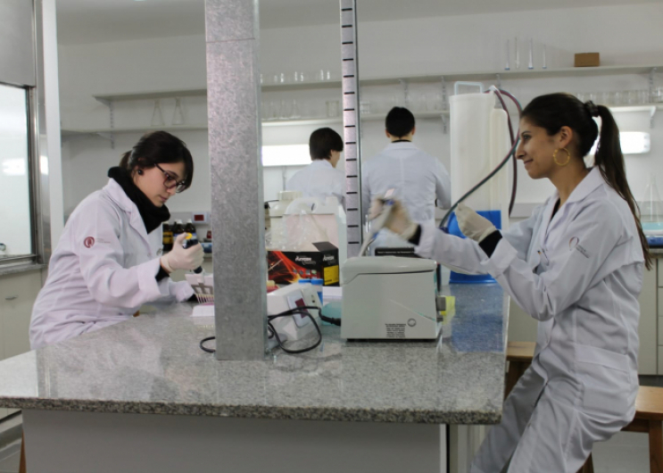 LA PROVINCIA ORGANIZA EL ENCUENTRO BONAERENSE DE CIENCIA Y UNIVERSIDAD