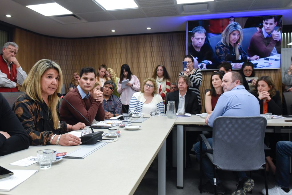 DIPUTADOS: SE POSTERGÓ EL DICTAMEN PARA CREAR LA COMISIÓN INVESTIGADORA DEL FENTANILO CONTAMINADO