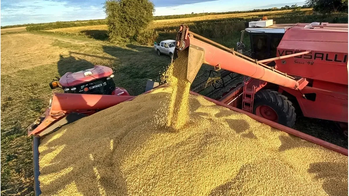 CHINA IMPULSA COMPRAS RÉCORD DE SOJA ARGENTINA Y EL TRIGO PROYECTA LA MEJOR CAMPAÑA EN AÑOS
