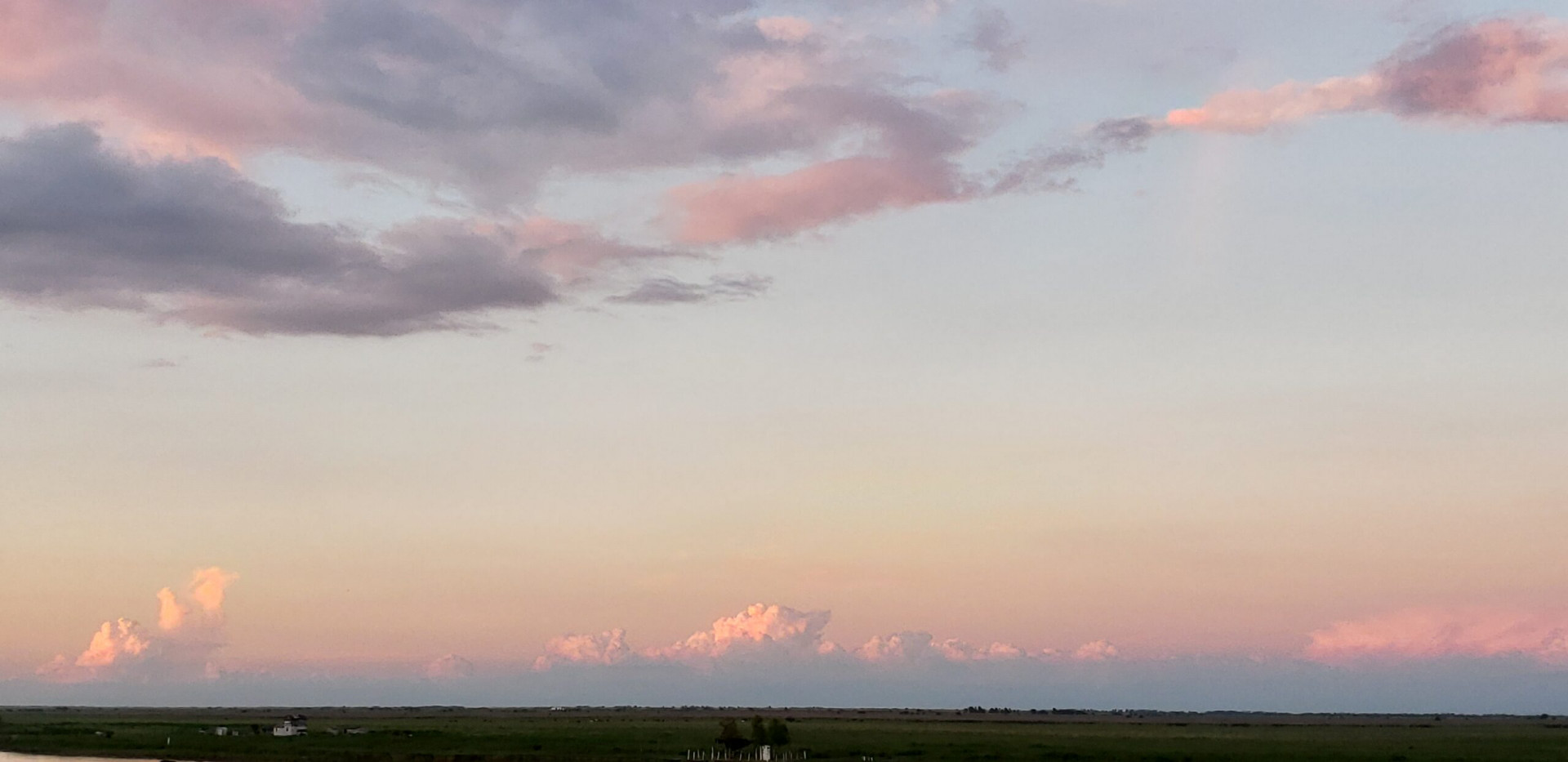 TEMPERATURAS ELEVADAS Y LLUVIAS NORMALES, EL ESCENARIO PARA CULTIVOS DE VERANO