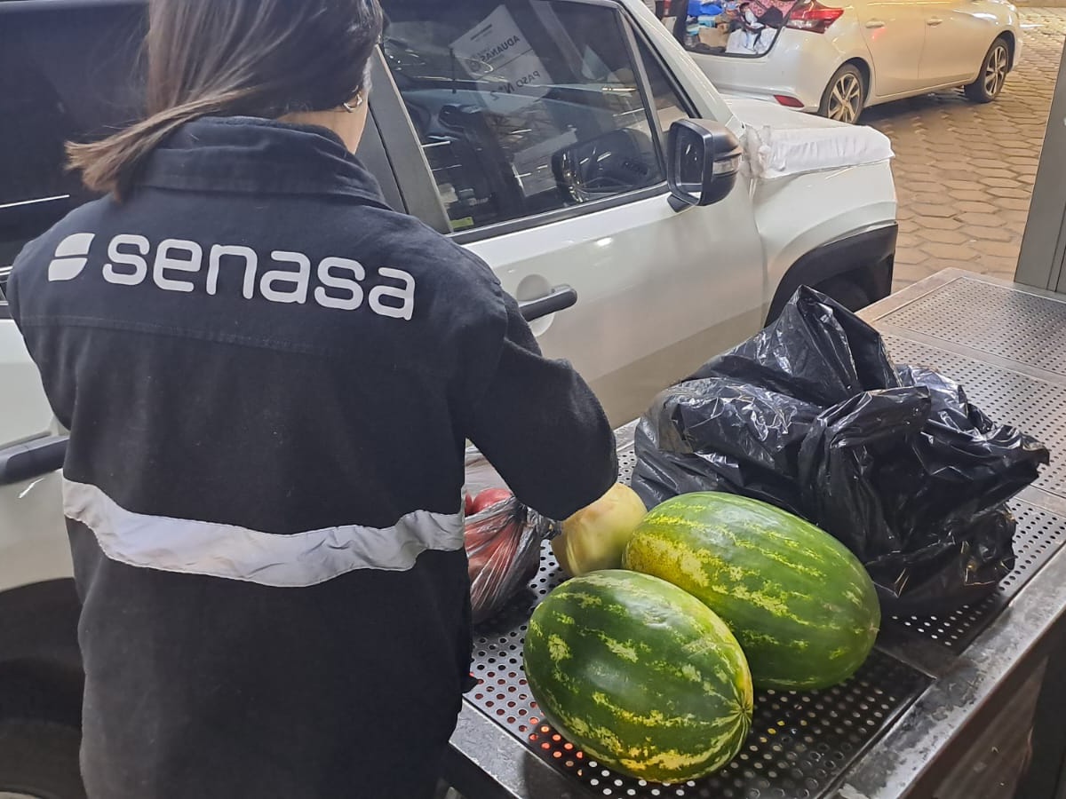 ARGENTINA Y CHILE AFIANZAN COOPERACIÓN EN SANIDAD ANIMAL, VEGETAL Y COMERCIO DE AGROALIMENTOS