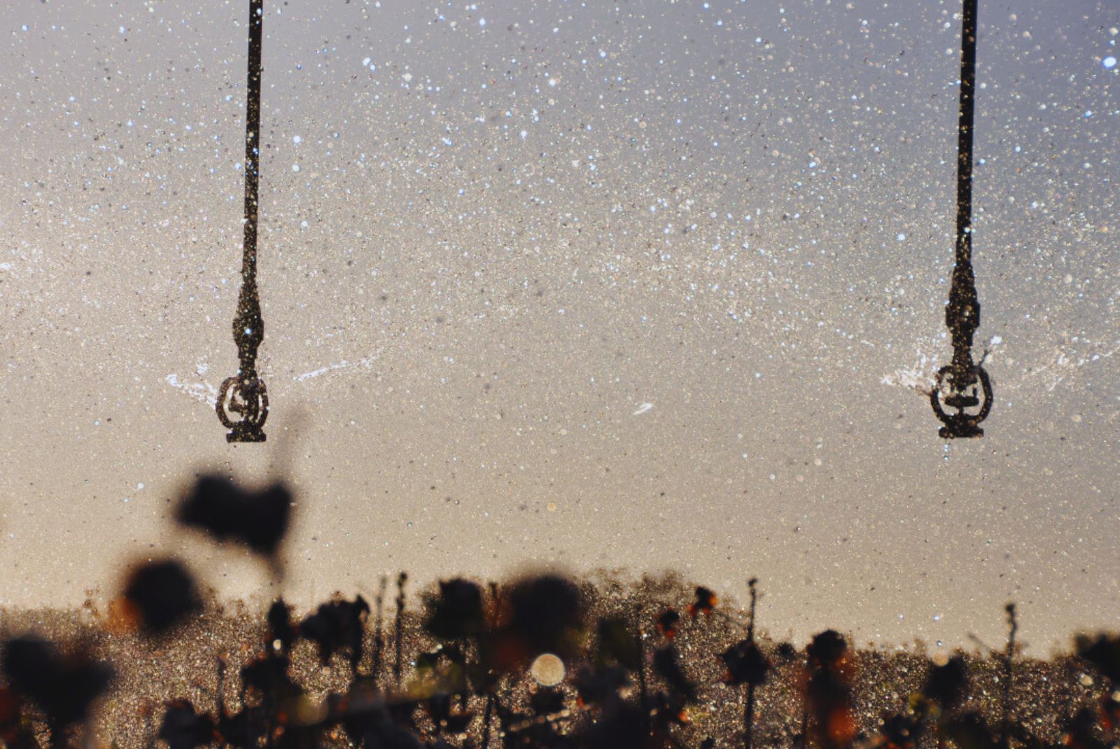 CON INTELIGENCIA ARTIFICIAL, REDEFINEN EL MONITOREO DEL RIEGO EN LA ARGENTINA